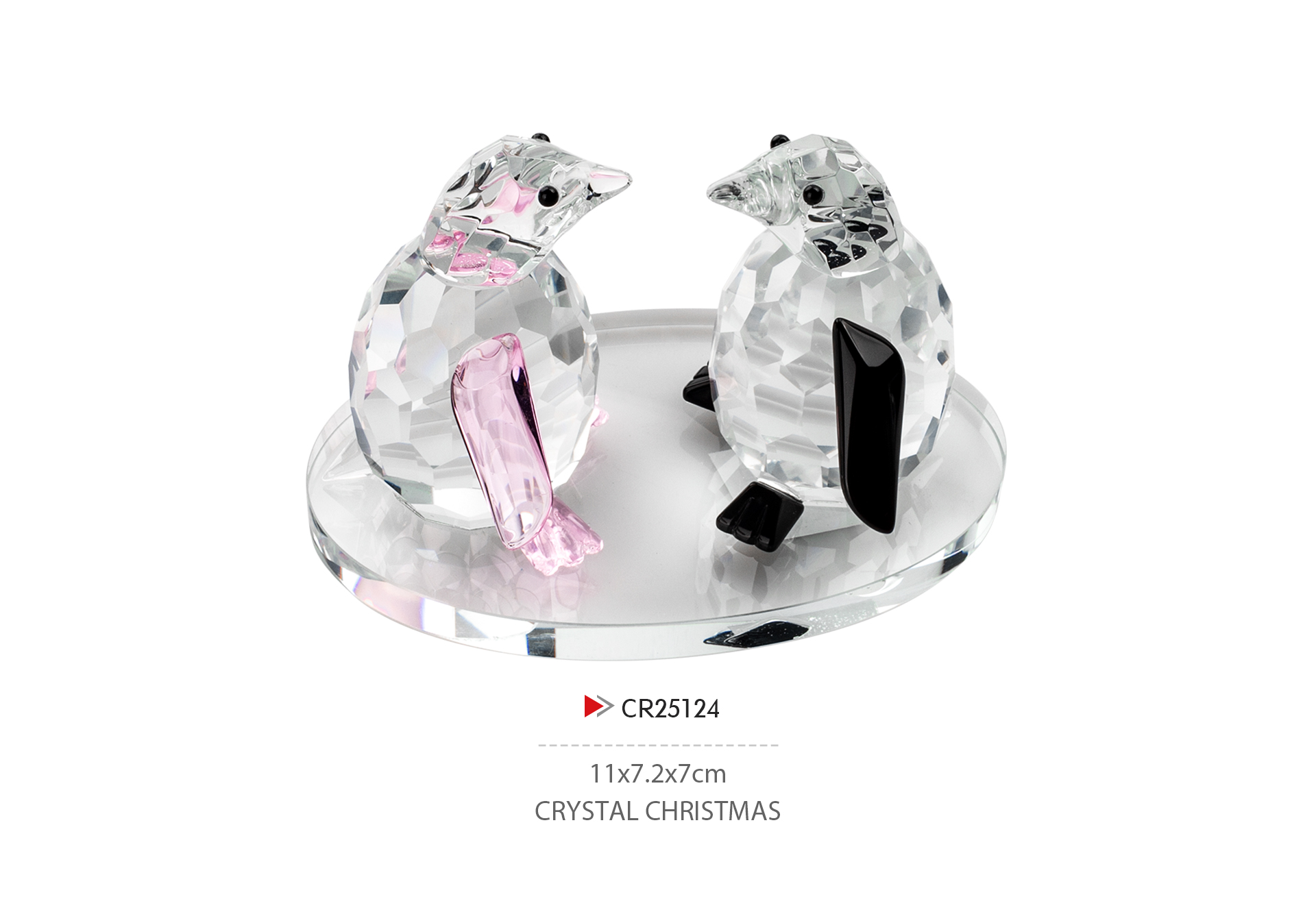 CR25124
